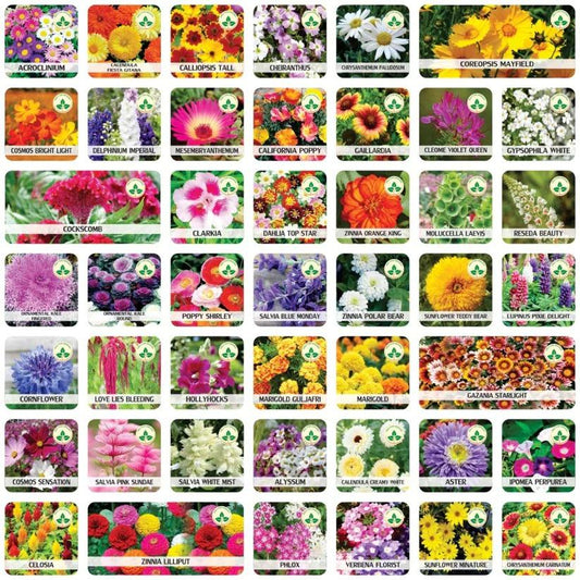 Buy Varieties of Flower Seeds (Pack of 100) And Get Plant Growth Supplement Free